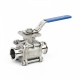 Stainless Steel 316 Ball Valve with Clamped (OEM)